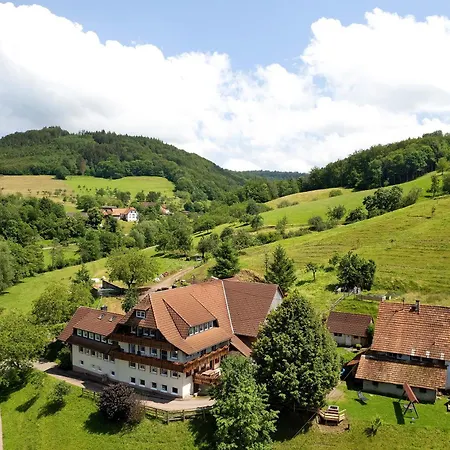 Danielenhof Apartament Freiamt